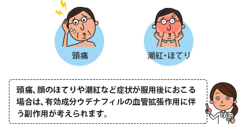 頭痛、ほてり、潮紅などウデナフィルの服用後にみられる主な副作用