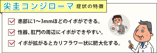 性器、肛門など発症箇所と尖圭コンジローマの症状チェックリスト