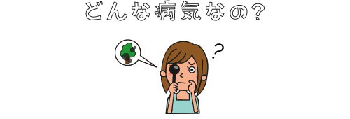 緑内障とは?