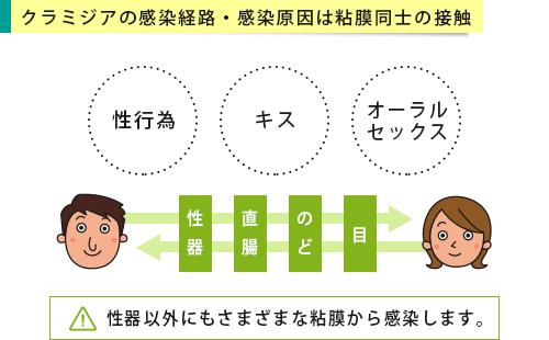 クラミジア感染症の感染経路と感染の原因となる行為
