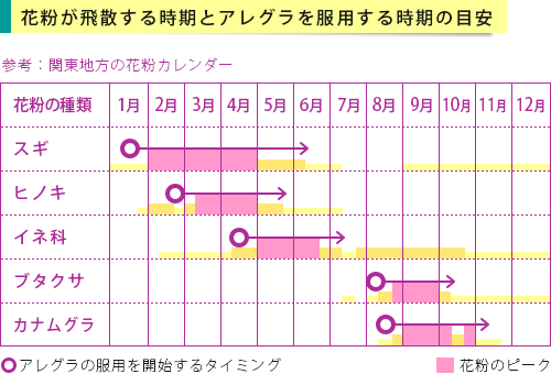 花粉が飛散する時期とアレグラを服用開始する時期の目安