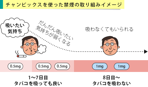 段階的にタバコをやめていくチャンピックスを使った禁煙イメージ