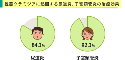性器クラミジアに起因する尿道炎、子宮頚管炎に対するクラビットの有効性