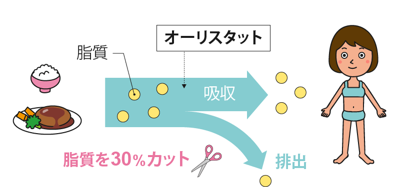 オーリスタットの働き
