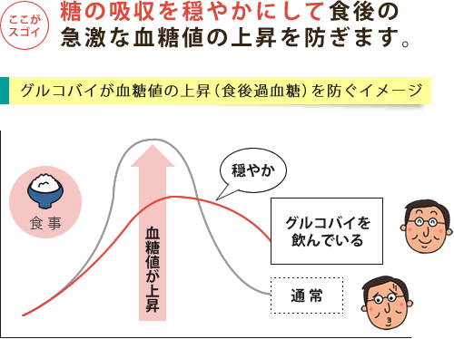 グルコバイが食後の急激な血糖値上昇を穏やかにする