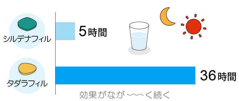 シルデナフィルとタダラフィルの効果時間