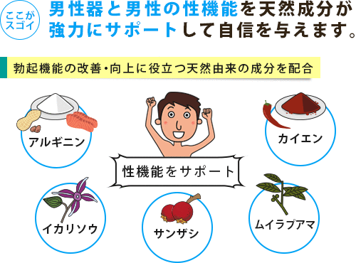 サイズプロウルトラに配合されている天然由来成分が男性の性機能をサポート