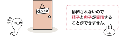 トリキュラーを飲んでいる間は排卵がされなくなる