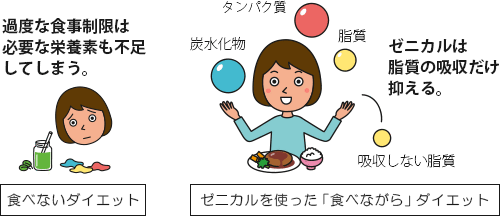 脂質以外の栄養素を損なわずにダイエットができるゼニカルのイメージ