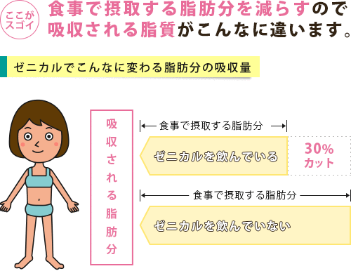 脂肪分の吸収をカットできるゼニカルのイメージ
